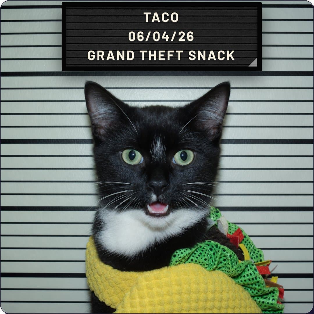 PP-0043: Grand Theft Snack